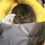 너넨 <b>동심</b> 아직 있어?