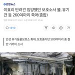 유기견 <b>보호</b>소 불났대 미쳤나봐