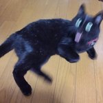 나만 내 친구 이상한것같아?