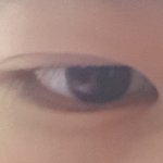 아니 조카 <b>내</b> <b>눈</b> 상태 왜 이러지