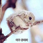 [드루와] 고등학교 제바루ㅜㅠㅠ