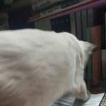 [댓글부탁해] 코옆에 노폐물?화장<b>찌꺼기</b> 어케 없앰