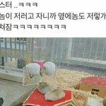 [드루와] (제발봐줘 ㅠㅠ)얘들아 이거 내가 잘못한 <b>거여</b>?