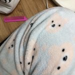 아 <b>수면</b>바지 ㄷㄱ서실에 입고가도 ㄱㅊ?