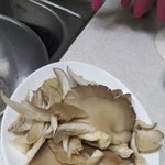 [조언부탁해] 엄마한테 깝쳤<b>다가</b> 한대 맞음