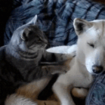 [댓글부탁해] 어디서 <b>쉰내</b>오지길래 부엌가봤는데 알고보니 내 암내였어...