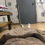 식당왔는데 염소고기 개 <b>노</b><b>맛</b>이여서