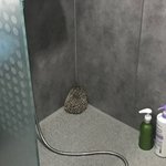 [댓글부탁해] <b>목욕</b>시켜서 빡친 고슴도치
