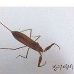 [드루와] 옆모습이 너무 못생김