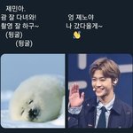 [댓글부탁해] 지금 라면 먹는 거 <b>에바</b>??