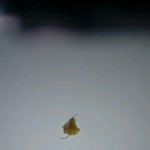 7일 만에 만든 작품인데 어떤가요