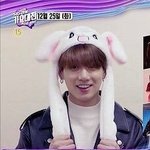 [방탄소년단] 헐 <b>토끼</b>가 드디어