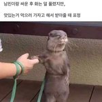 약혐)나 <b>여드름</b> 뺐는데 얼굴에 <b>왕</b>구멍 생겼엌ㅋㅋㅋㅋㅋ