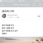 <b>옹성우</b>가 찍은 하늘공원인데 ..