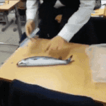 [댓글부탁해] 야물딱지게 고등어 <b>손질</b>하는 남고딩ㅋㅋㅋ