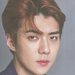 [세훈] 2019 공식 시그 <b>스캔</b>본1