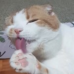 [댓글부탁해] 방학 때 <b>친구집</b> 가는데 가정사 이야기 해도 될까