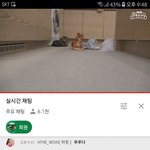 크집사님이 내 댓 읽어<b>주심</b>ㅠㅠ