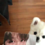 [댓글부탁해] 오늘부터 <b>찬물</b>ㄹ로샤워한다ㅡㅡ