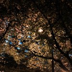 얘들아 나 인문계 떨어질것같아 <b>퓨</b>ㅜㅜㅠㅠㅠㅠㅠ????