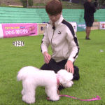 [방탄소년단] 계속 가자 잘하고있어