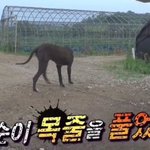 [NCT] 치타폰이 <b>세상</b>을 구한다
