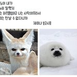 [NCT] 엔시티 웃짤 <b>모아</b>봄 ㅎㅎ 18탄