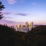 얘드랑 <b>달리</b>아 향수 좋아?