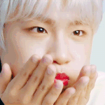 [박우진] 우진이 <b>PDF</b> 메일 주소 변경되었대!