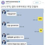 [드루와] 세븐틴 어머니들의 <b>오타</b> 열전
