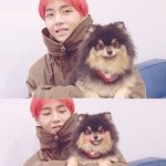 [드루와] 반려견 <b>연탄</b>이와 브이앱 방송한 방탄소년단 뷔