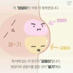 [드루와] 너네 <b>후드</b>티랑 패딩 같이 입냐