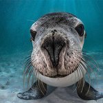 물 밑에서 마주친 신비한 <b>생물</b>들