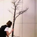 태연 크리스마스 트리 만든거