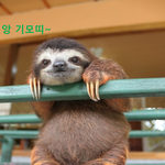 <b>멸종</b>안된게 신기한 동물 ㅋㅋ