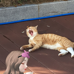 [제페토] 정국으로 도배한 내페토랑 맞팔할싸람ㅎㅎ