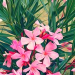 [댓글부탁해] 진정한 띵곡 제조기는 얘네인 듯