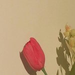 시험때 <b>보건</b>실여냐?