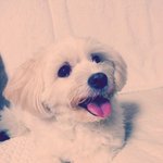 이 아이를 버린 당신에게