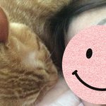 <b>울집</b> 애옹이 주무신다 1