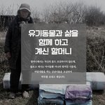 홀로 유기<b>동물</b>을 돌보고 계시는 할머니네에 힘을