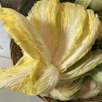 [개깊은빡침] (추가) 절임<b>배추</b>, 저희가 까탈스럽나요?