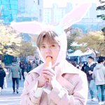 [<b>꼬랑</b>단] <b>꼬랑</b>단 힐링 프로젝트 6