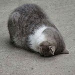 [드루와] 아이폰X랑 <b>XS</b> 가격