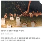 <b>이틀</b>동안 8시간 잠 ㅡㅡ