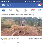 [유머일번지] <b>목줄</b>하면 나만위험, 안하면 너도위험 ㅎ