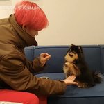 [EXO] 탄이 껌<b>딱지</b>