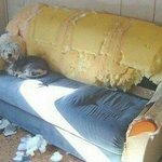 [댓글부탁해] 카톡 <b>상</b><b>메</b> ㅇㄸ
