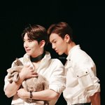 애옹이 조심스럽게 만지는 <b>셔누</b>