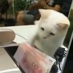 [댓글부탁해] <b>은행</b> <b>돈</b> 털어가는 괭이